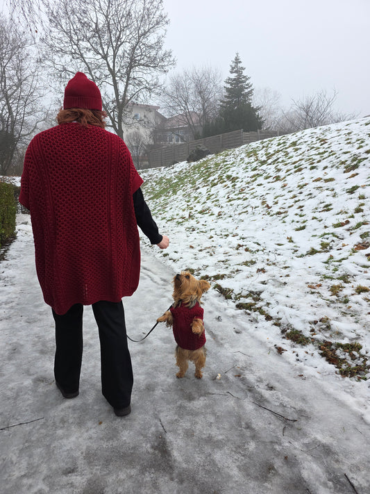 Cooper Strickset für Yorkshire Terrier und Besitzer