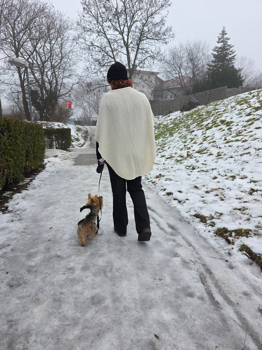 Lola Strickset für Yorkshire Terrier und Besitzer