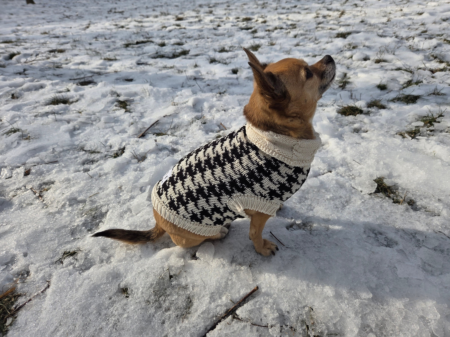 Hundepullover Kollektion