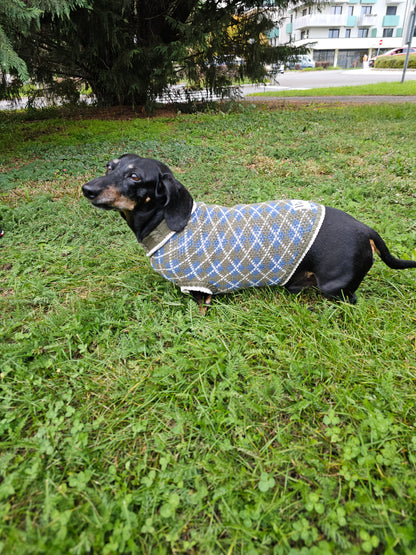 Lucy Strickset für Dackel und Besitzer