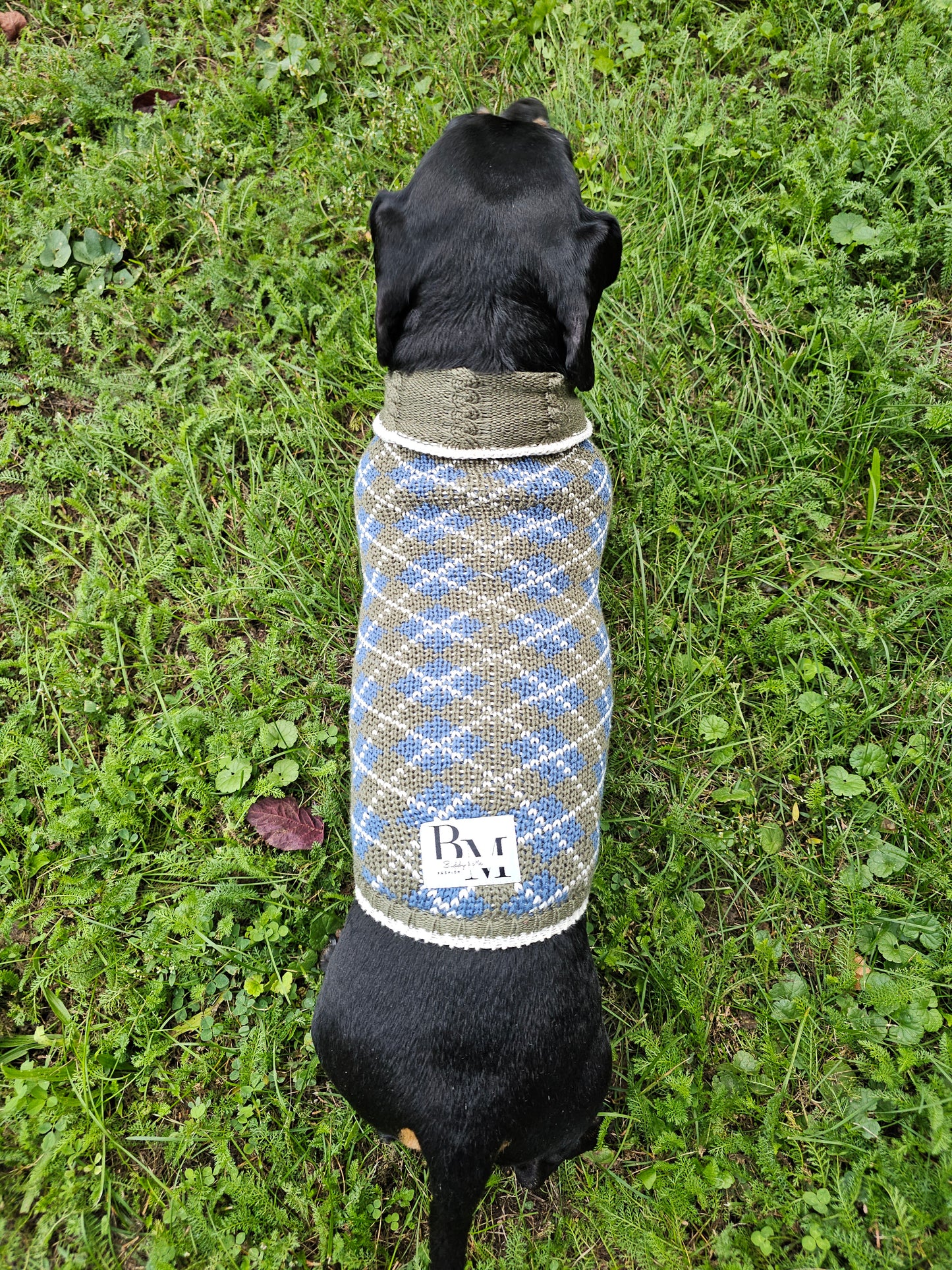 Lucy Dackel Hundepullover