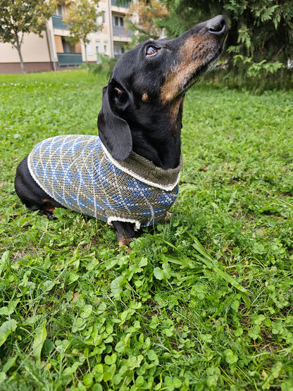 Lucy Strickset für Dackel und Besitzer