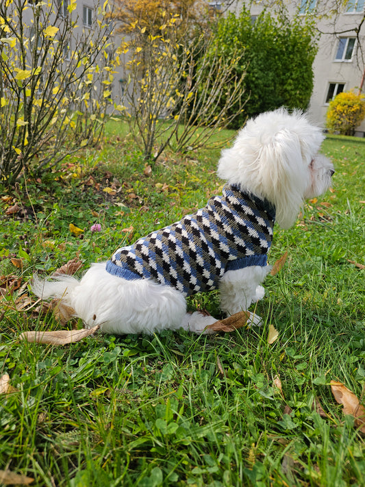 Louie Malteser Hundepullover