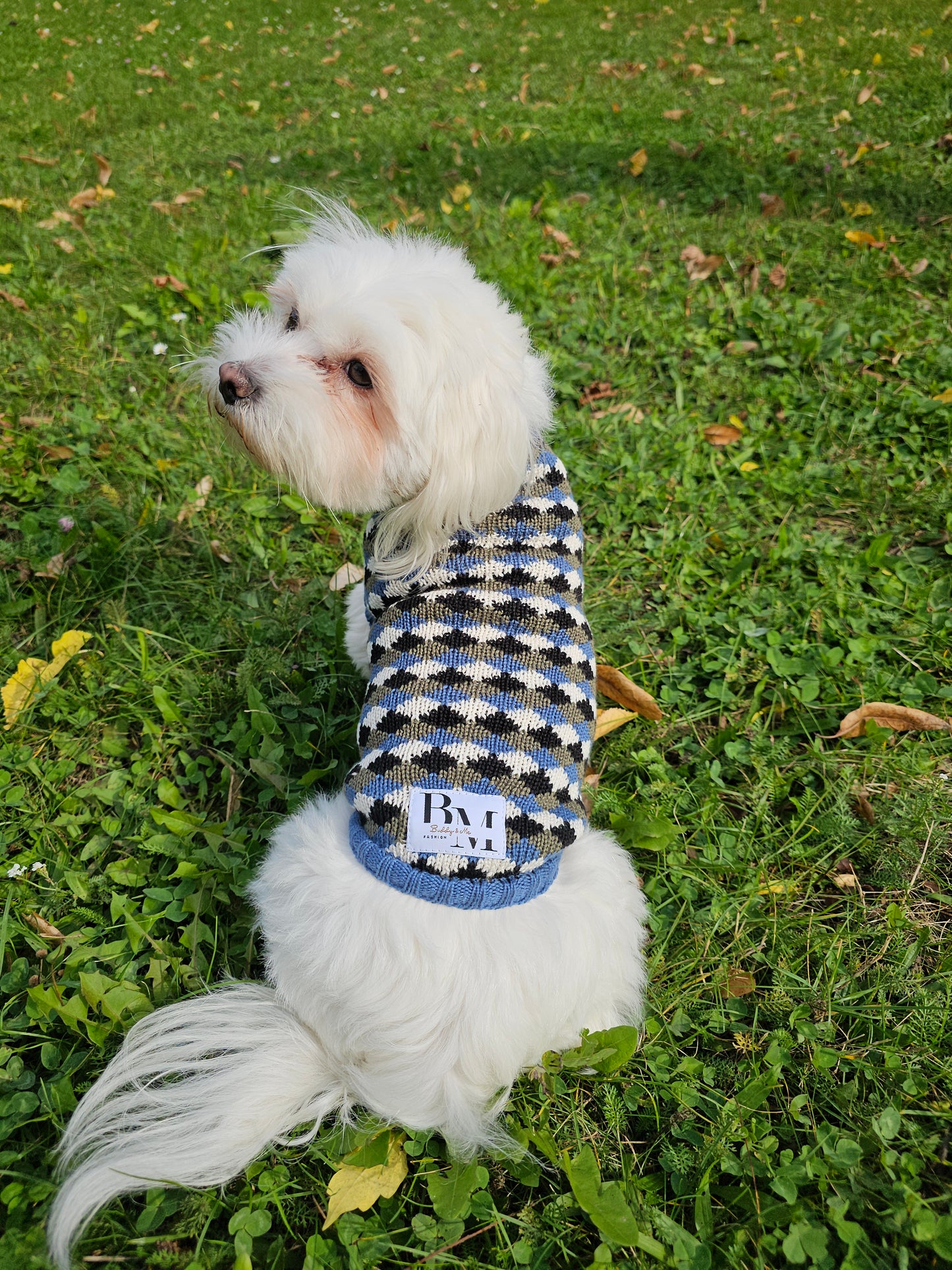 Louie Strickset für Malteser und Besitzer