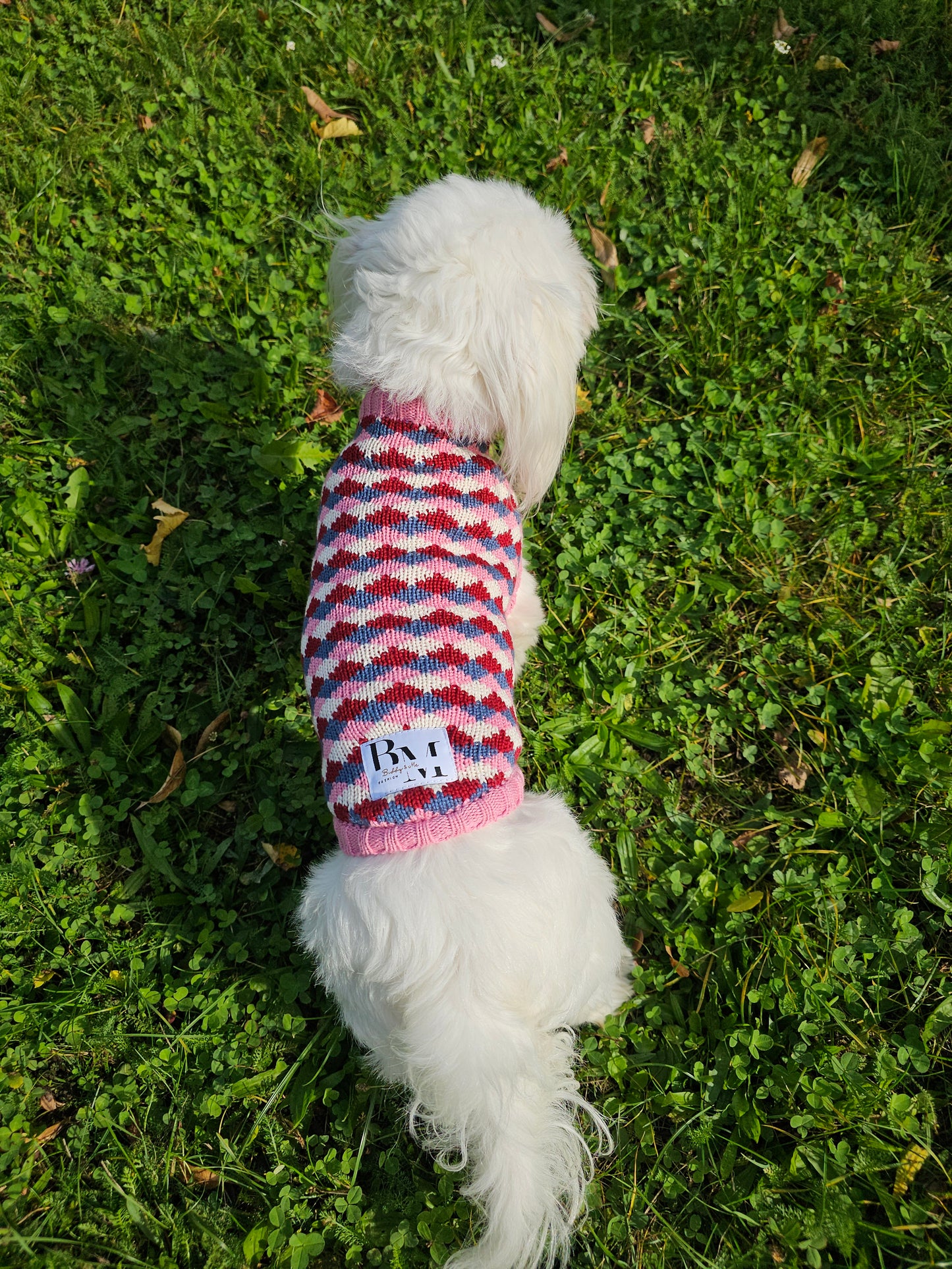 Rosie Strickset für Malteser und Besitzer