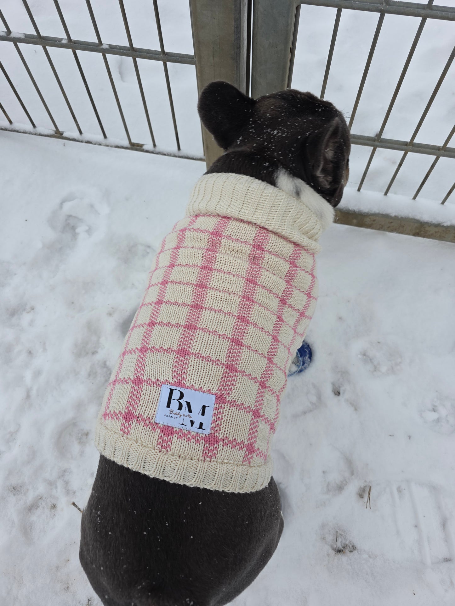 Luna Französische Bulldogge Hundepullover