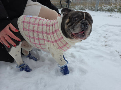 Luna Französische Bulldogge Hundepullover