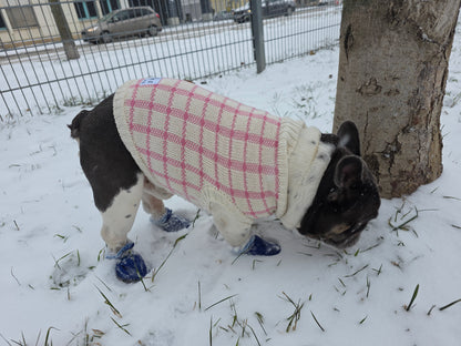 Luna Französische Bulldogge Hundepullover