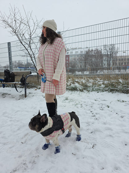 Luna Strickset für Französische Bulldogge und Besitzer
