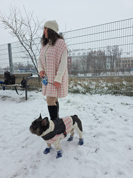 Luna Strickset für Französische Bulldogge und Besitzer