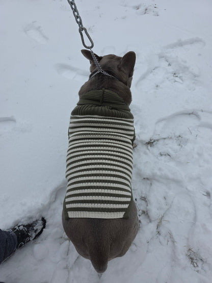 Harley Englische Bulldogge Hundepullover