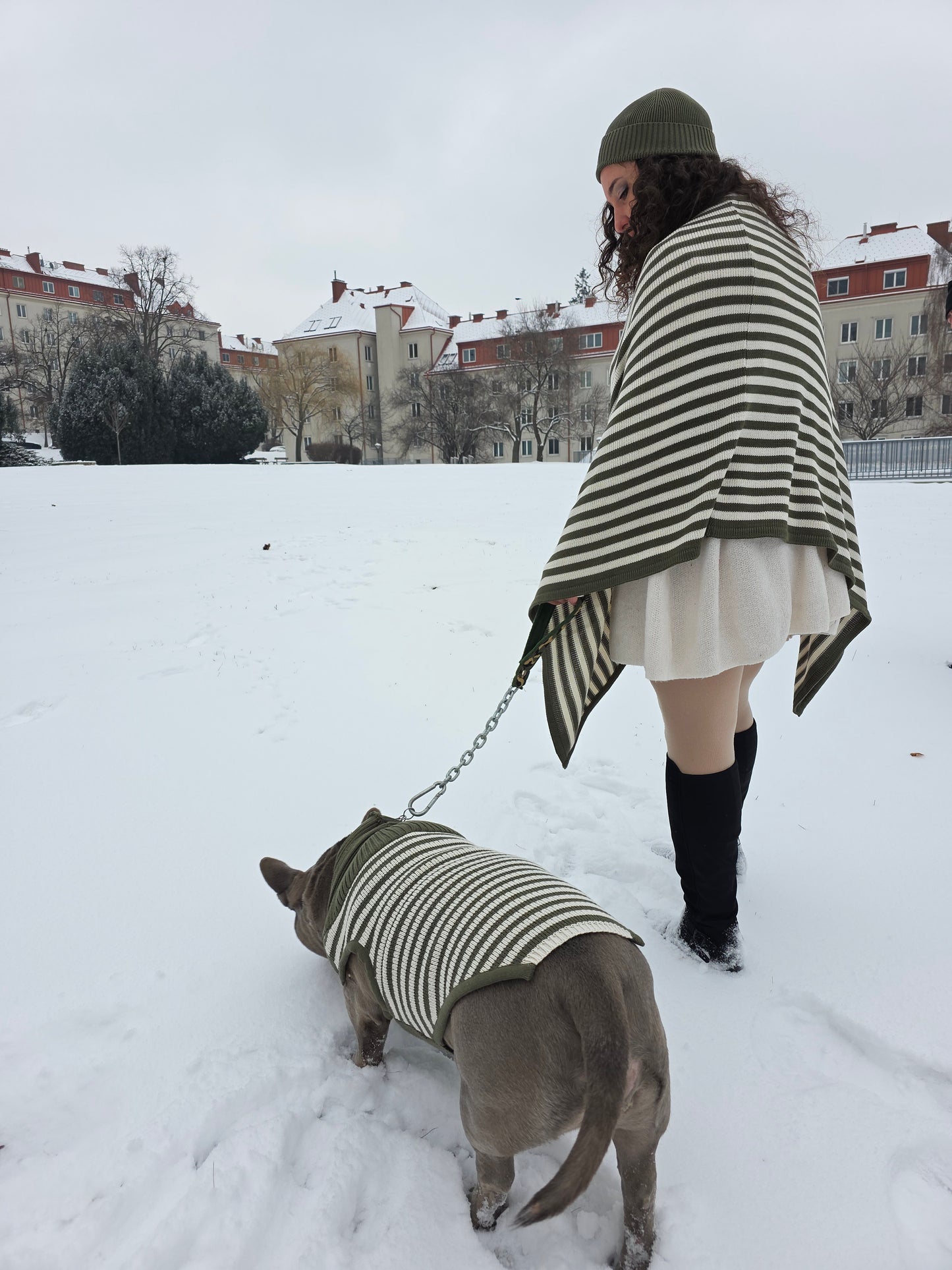 Harley Strickset für Englische Bulldogge und Besitzer