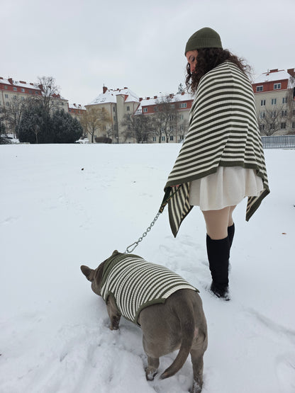 Harley Strickset für Englische Bulldogge und Besitzer
