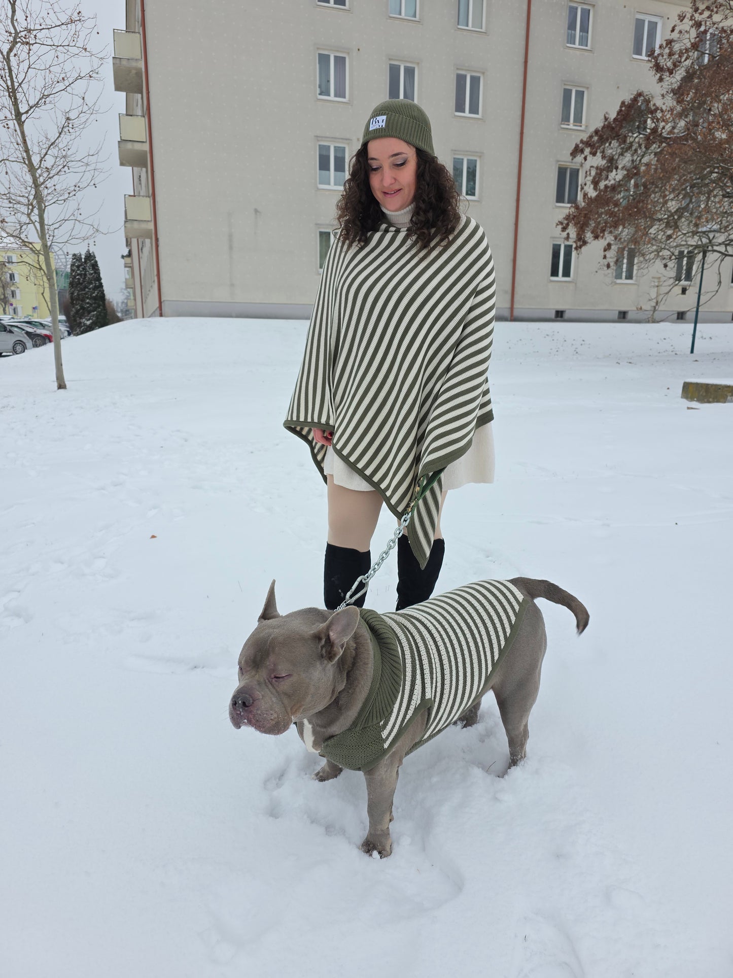 Harley Strickset für Englische Bulldogge und Besitzer