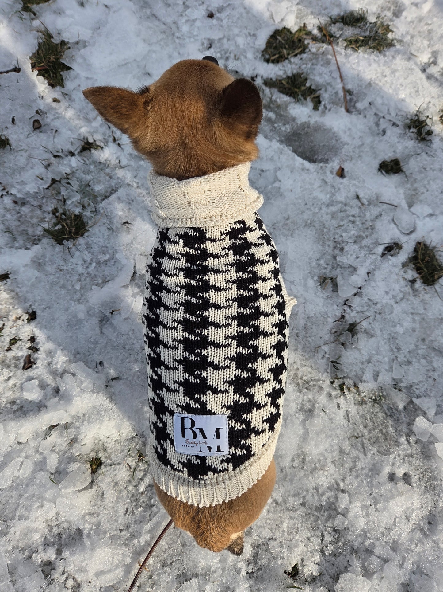 Stella Strickset für Chihuahua und Besitzer