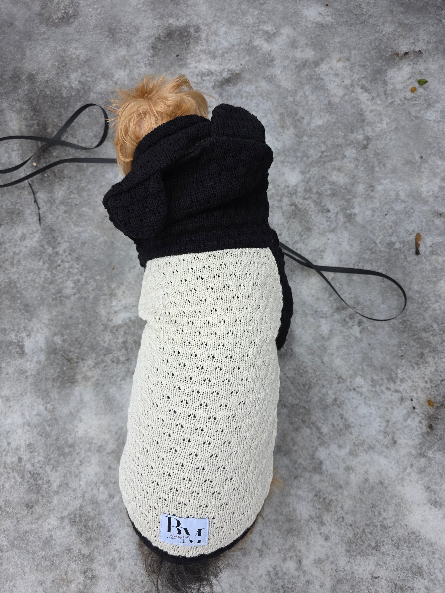 Lola Strickset für Yorkshire Terrier und Besitzer