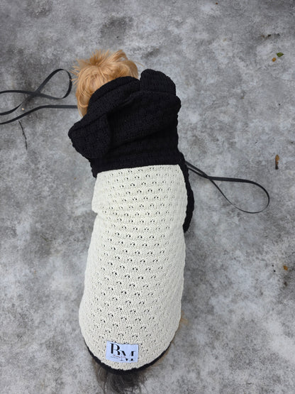 Lola Strickset für Yorkshire Terrier und Besitzer