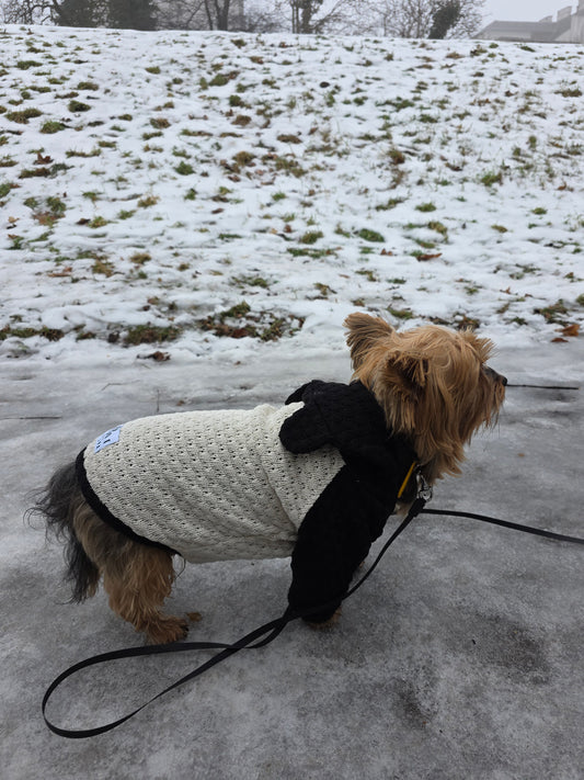 Lola Yorkshire Terrier Hundepullover