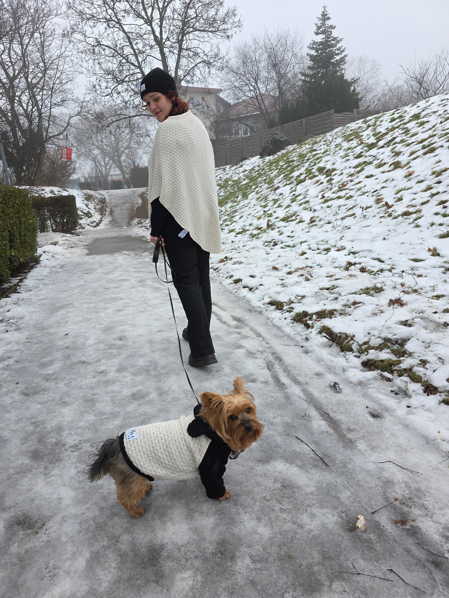 Lola Strickset für Yorkshire Terrier und Besitzer