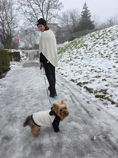 Lola Strickset für Yorkshire Terrier und Besitzer