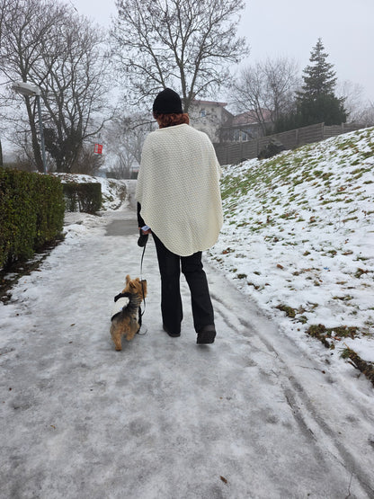 Lola Strickset für Yorkshire Terrier und Besitzer