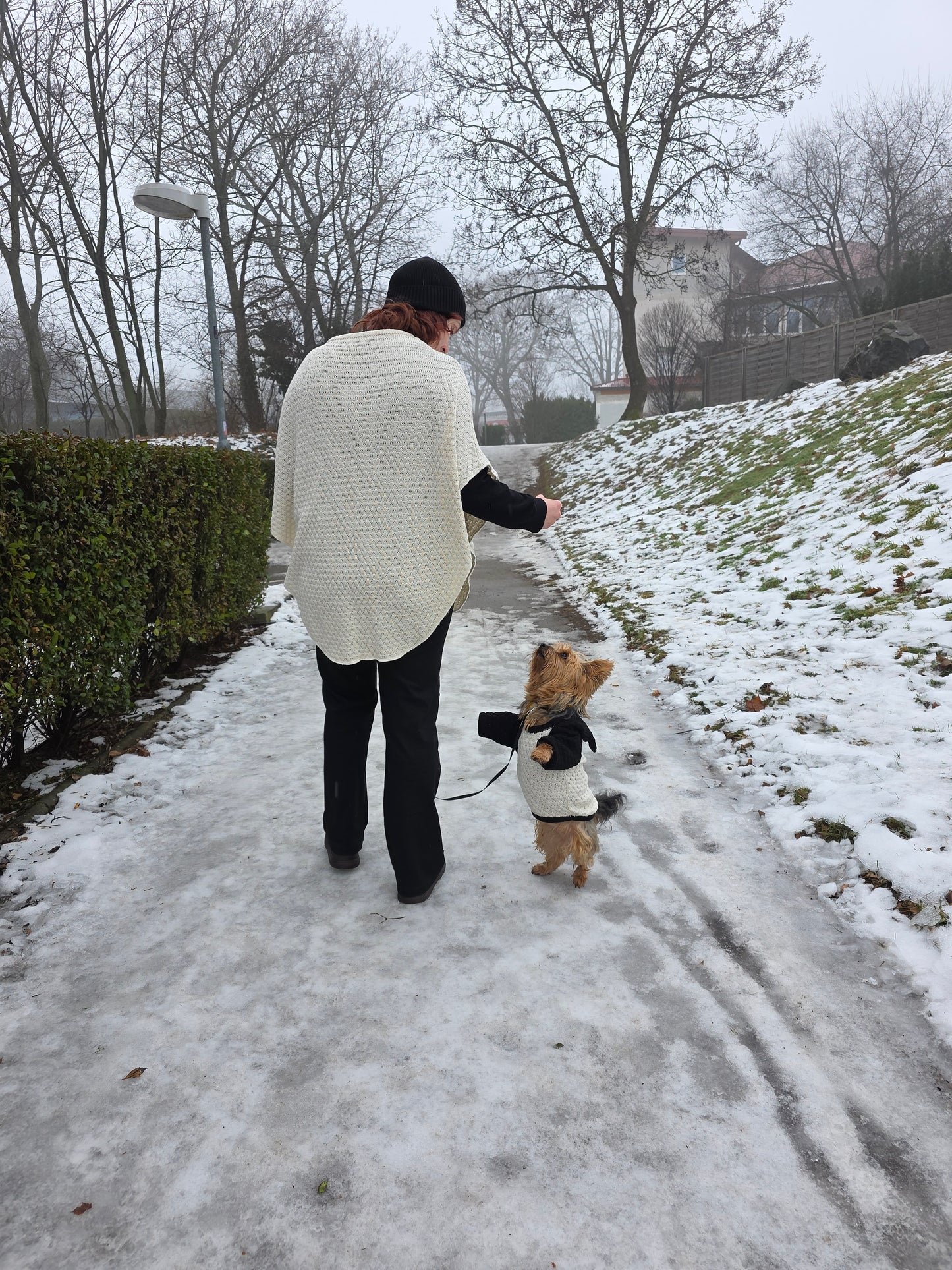 Lola Strickset für Yorkshire Terrier und Besitzer